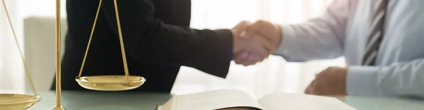 When a legal matter affects your family, your finances, or your freedom, the team standing next to you matters. Feldman & Lee has represented individuals and families across King County for more than four decades — handling personal injury, criminal defense, and family law cases with the same direct, fully prepared approach.