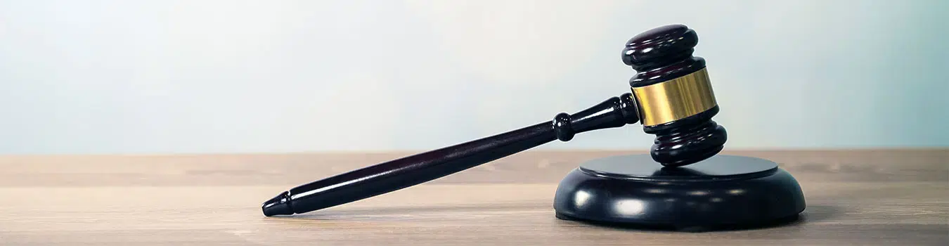 When a legal matter affects your family, your finances, or your freedom, the team standing next to you matters. Feldman & Lee has represented individuals and families across Snohomish County for more than four decades — handling criminal defense, family law, and personal injury cases with the same direct, fully prepared approach.