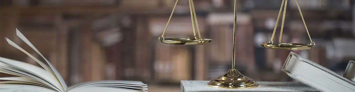When a legal matter affects your family, your finances, or your freedom, the team standing next to you matters. Feldman & Lee has represented individuals and families across Snohomish County for more than four decades — handling personal injury, criminal defense, and family law cases with the same direct, fully prepared approach.